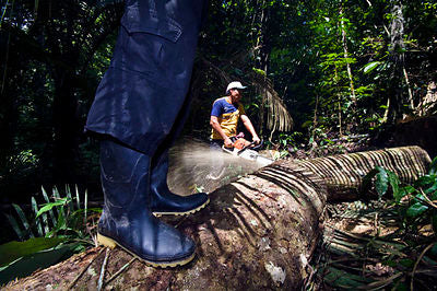 Amazon Deforestation