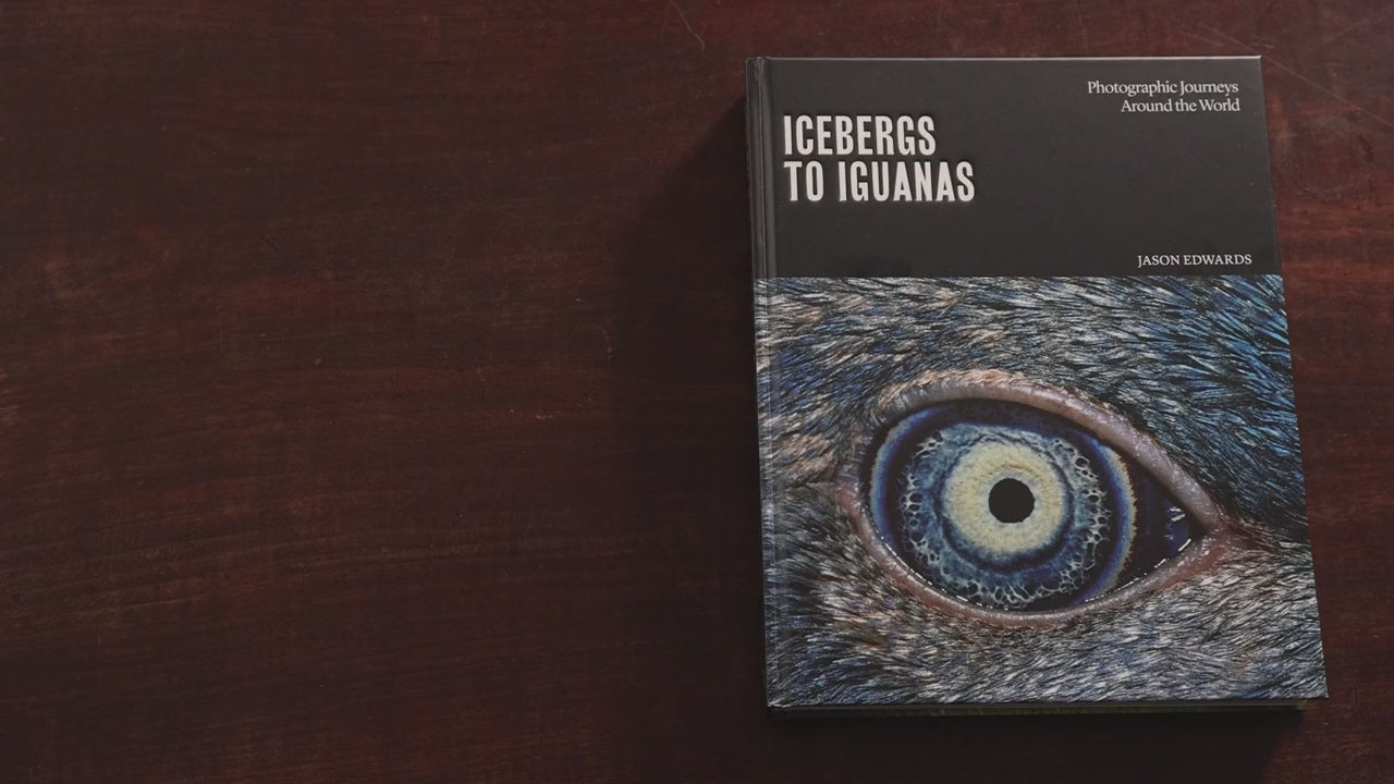 Load video: Best Photography Book - Icebergs to Iguanas by National Geographic Photographer Jason Edwards