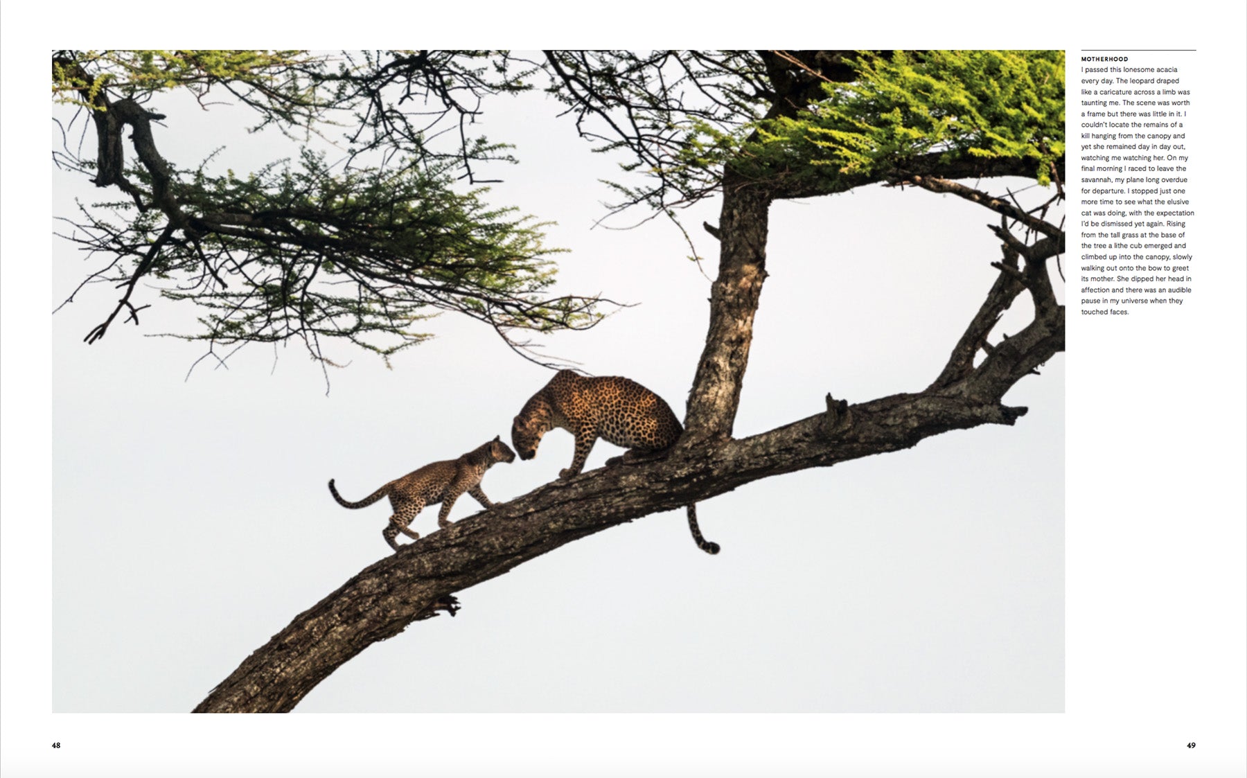 Icebergs to Iguanas - 424 page book by National Geographic Photographer Jason Edwards