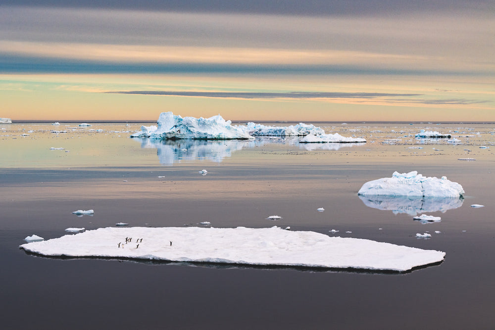 Icebergs to Iguanas Photography Book