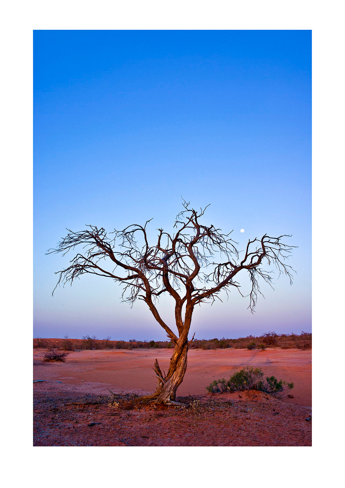 Moonrise. A wonderful time of day, with pastel afterglow descending across a desert sky free from human generated pollution, both light and chemical. I love being in remote locations by myself, the world ceases to exist and I’m left with my own thoughts and company. I’m a pretty gregarious guy, however I feel very comfortable alone and feel it’s important for people to spend time with themselves. Sturt National Park, Australia.