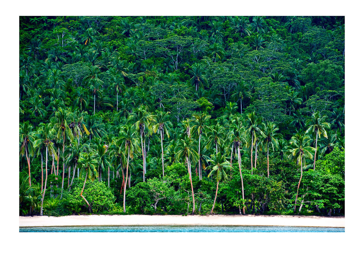 Dreaming of white sand beaches, palm trees, turquoise seas and the sounds of birds in the rainforest canopy. Cobia Island, Ringgold Archipelago.