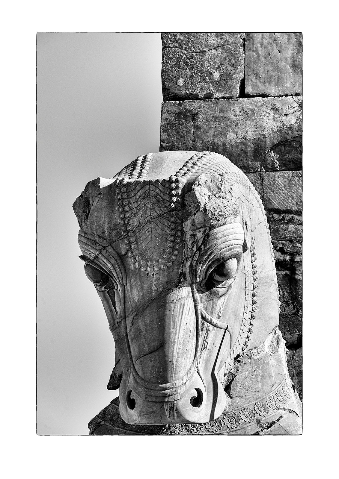 An enormous stone carving of a bull that once rested on a column at Persepolis. Persepolis, Shiraz, Fars Province, Islamic Republic of Iran.