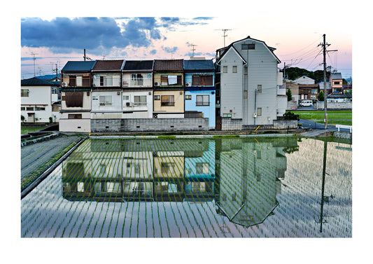 Houses reflected in the still surface of a rice paddy in a Japanese suburb. Arashiyama Bamboo Grove, Arashiyama District, Kyoto, Japan.

