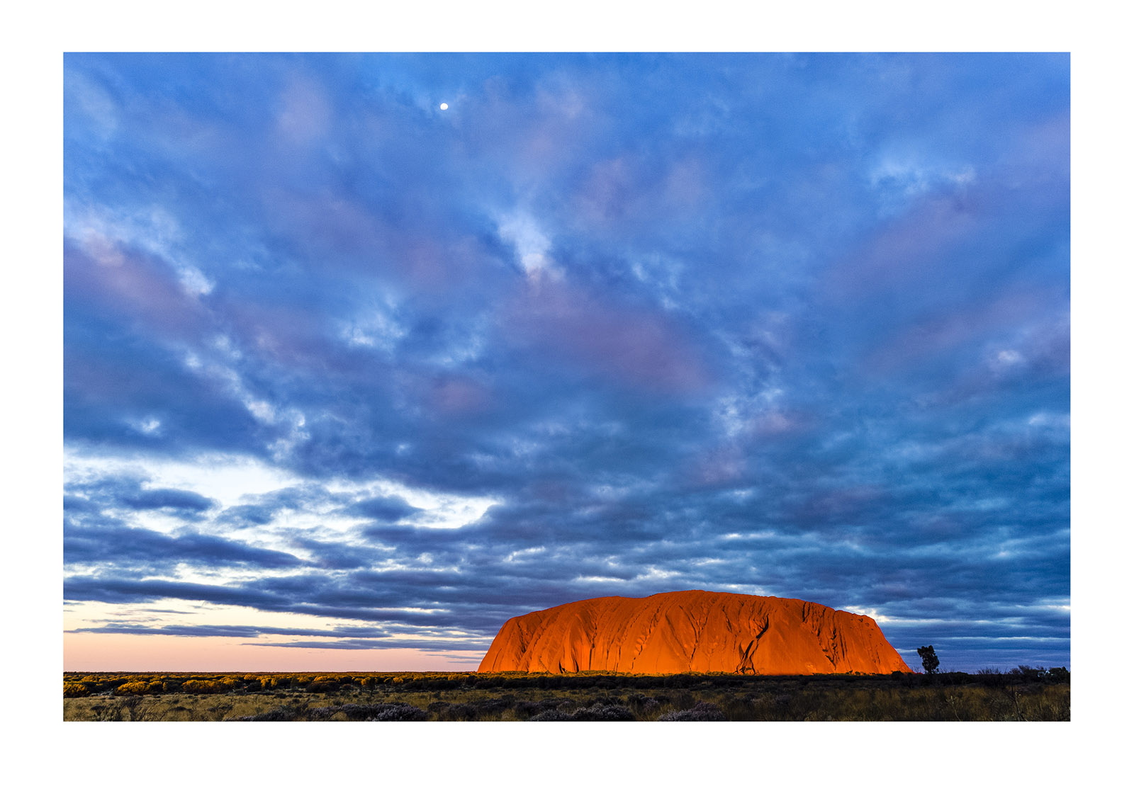 A cloud bank from an approaching storm turns magenta as it shrouds Uluru and the desert plain. Uluru Kata Tjuta National Park, Northern Territory, Australia.