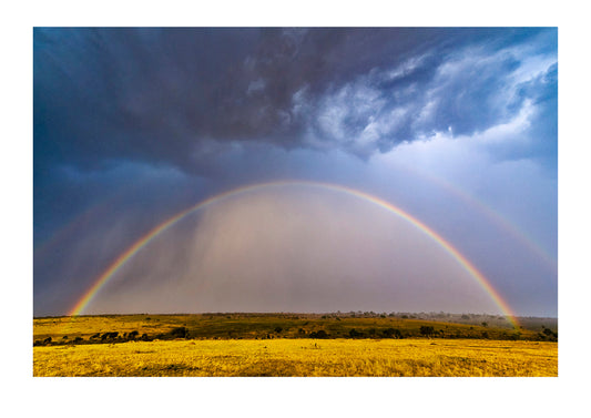 A enormous rainbow arches across the savannah above the Great Migration of wildebeest. Serengeti National Park, Tanzania.