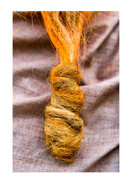 A yellow-dyed beard knot of a sadhu, an ascetic Hindu holy man. Kathmandu, Pashupatinath Temple, Nepal