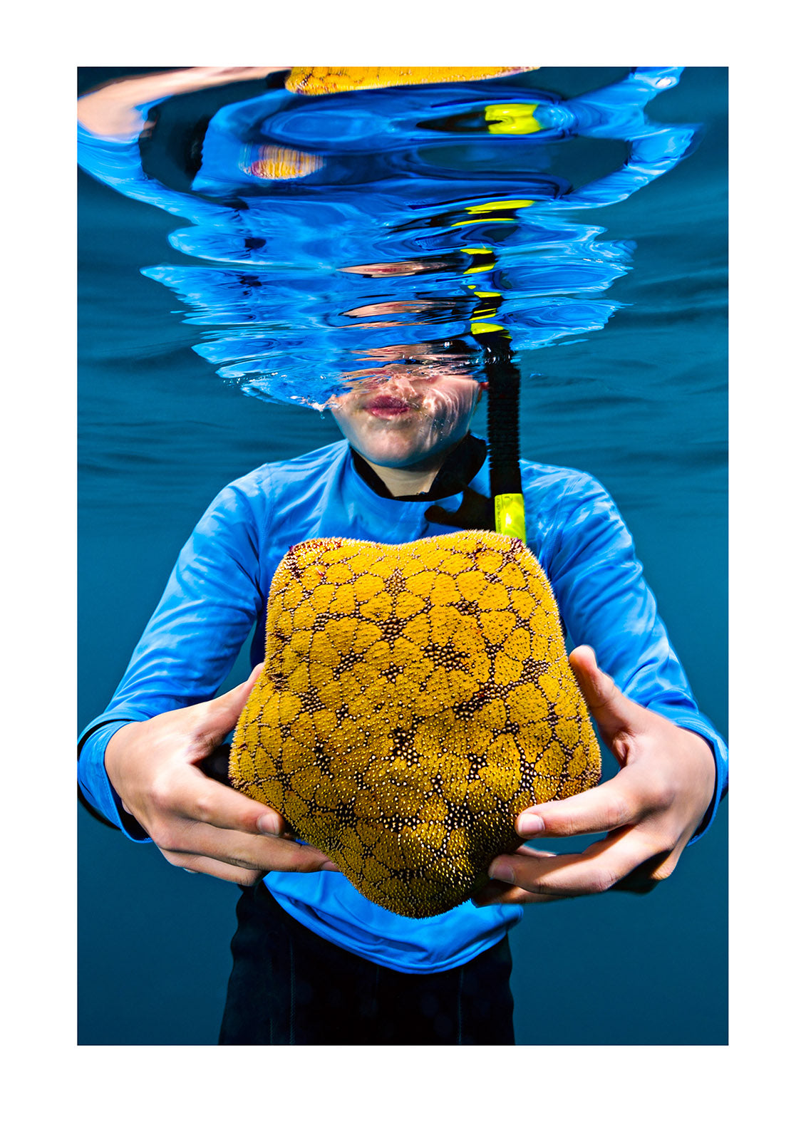 A boy snorkeling holds a Pin Cushion Sea Star, Culcita schmideliana. Fatu Hiva, Marquesas Islands, French Polynesia