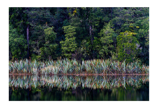 Peaceful thoughts and moments, reminding myself that as far as I know, the sun will rise in the morning. The mischievous wind settles to allow a reflection to be born. New Zealand.