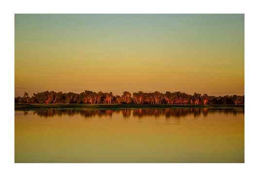 A flooded forest at the edge of a swamp in the afterglow of sunset. Kakadu National Park, Northern Territory Australia.