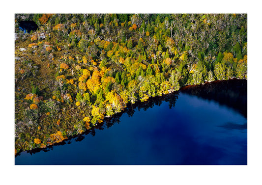 An aerial view of Deciduous Beech, Nothofagus gunnii, and Lake Hanson. Cradle Mountain, Lake St Clair National Park, Tasmania, Australia.