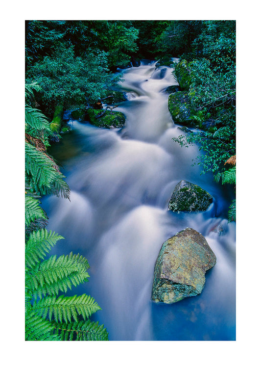 Time lapse of Taggerty river flow over rock through rain forest. The Beeches, Yarra Ranges National Park, Victoria, Australia.