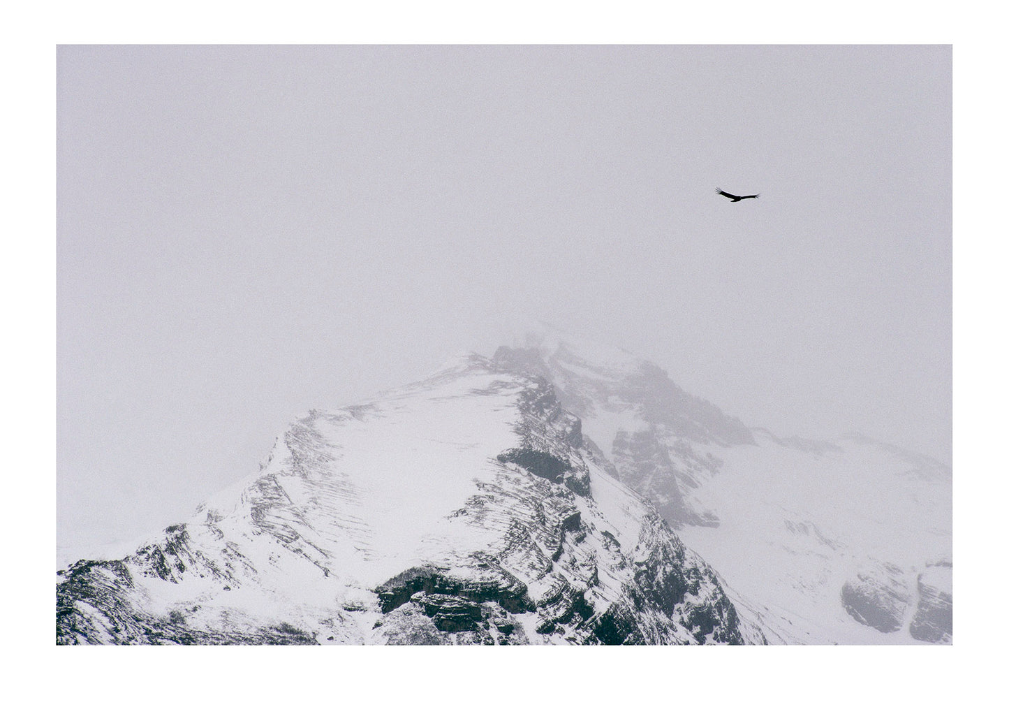 Andean Condor gliding above the jagged teeth of the Andes massif. High altitude frigid air lifts these magnificent birds above the fractured, bitter glaciers that have consumed rock in Patagonia for countless millennia. Look for the elements in a scene that sing to you most, and then build your image around them.